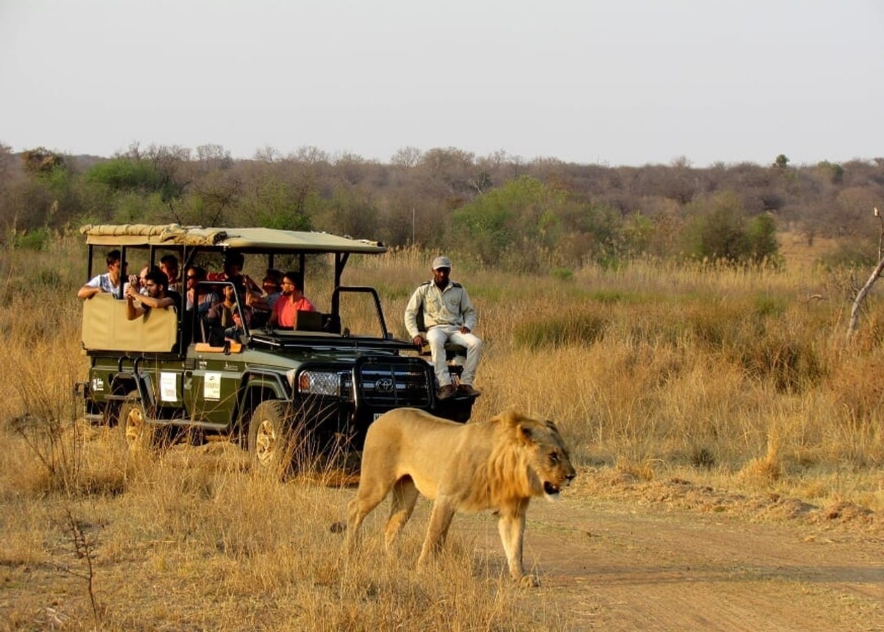 Dinokeng Game Reserve Picnics sites