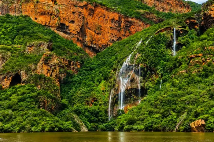 3 Day Kruger Safari With Panorama Route from Johannesburg