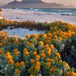scenic view of table mountain cape town south africa from bloubergstrand