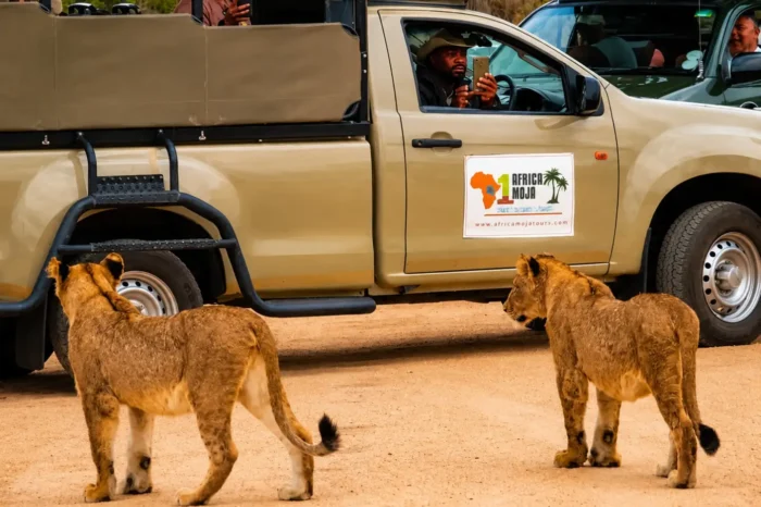 3 Day Kruger Safari from Johannesburg