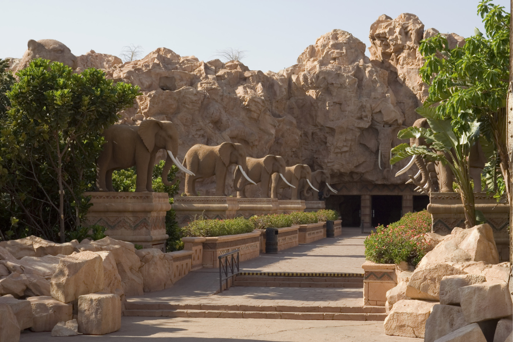 Sun City Safari