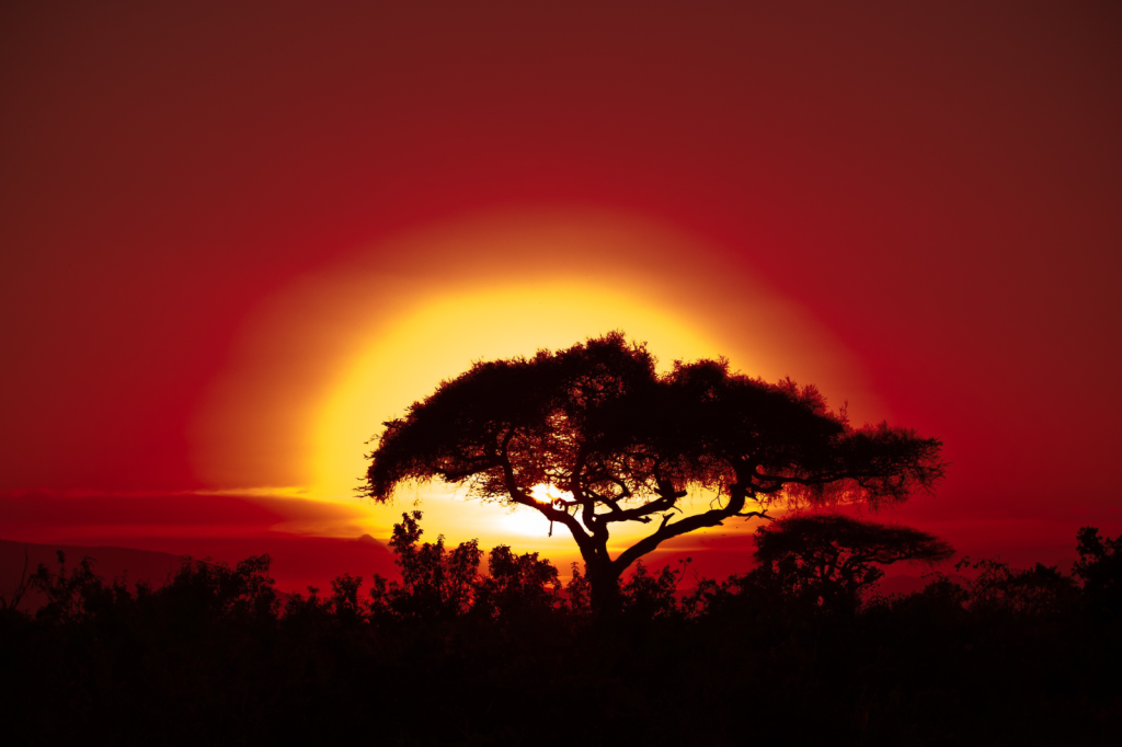 Long Layover in Africa