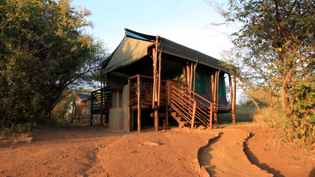 Lowe Sabie