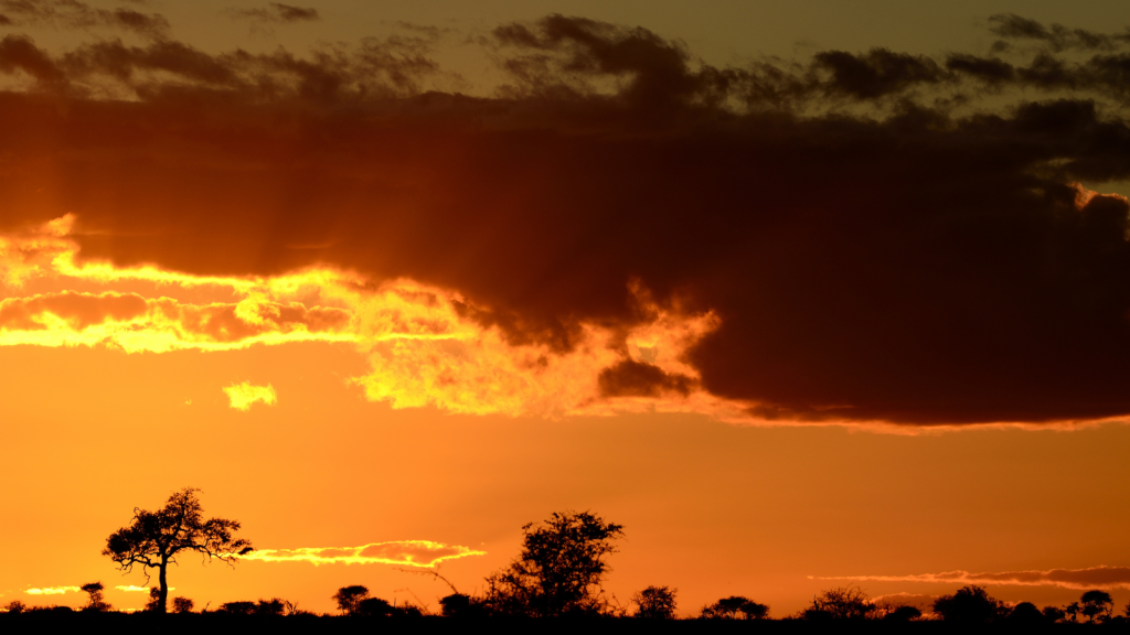 Pretoriuskop Rest Camp