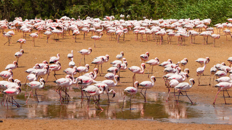 Ngorongoro Crater