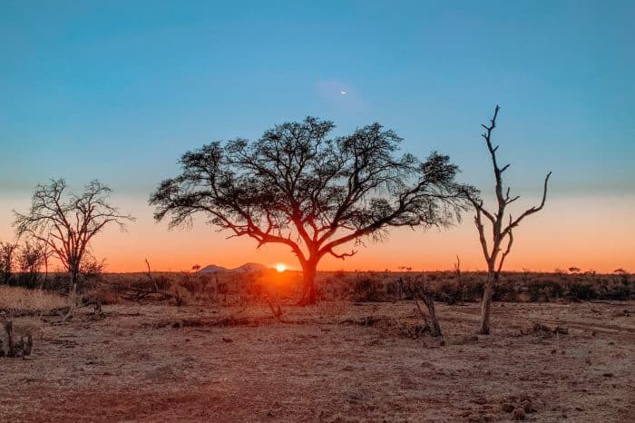 4 Day Madikwe Safari from Johannesburg