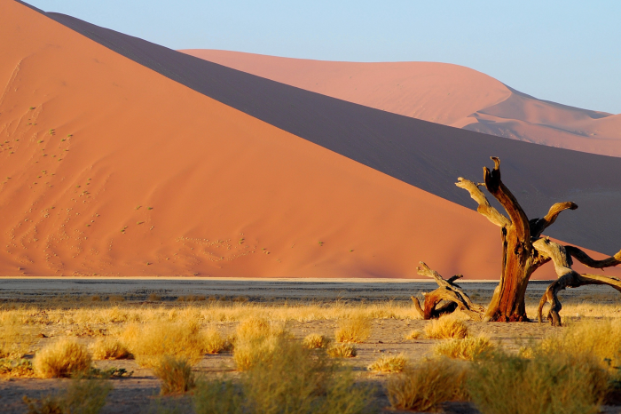 6 Day Namibia Tour from Cape Town