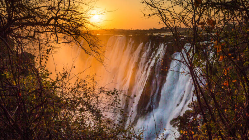 Victoria falls and safari tour