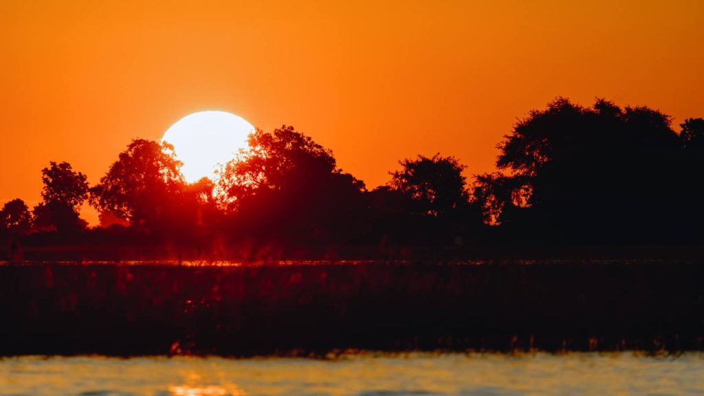 Botswana safari tours
