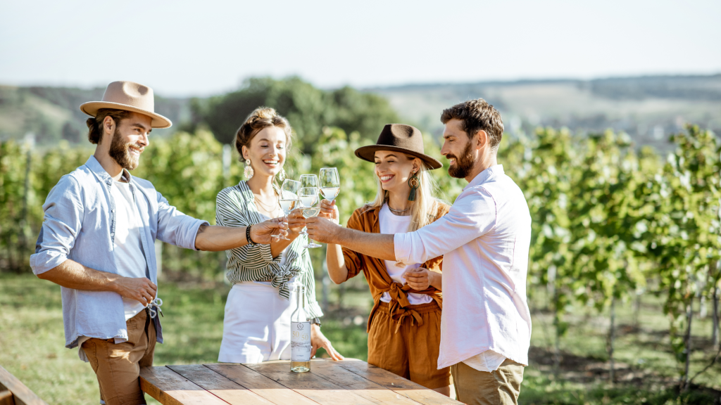 Cape Town Winelands