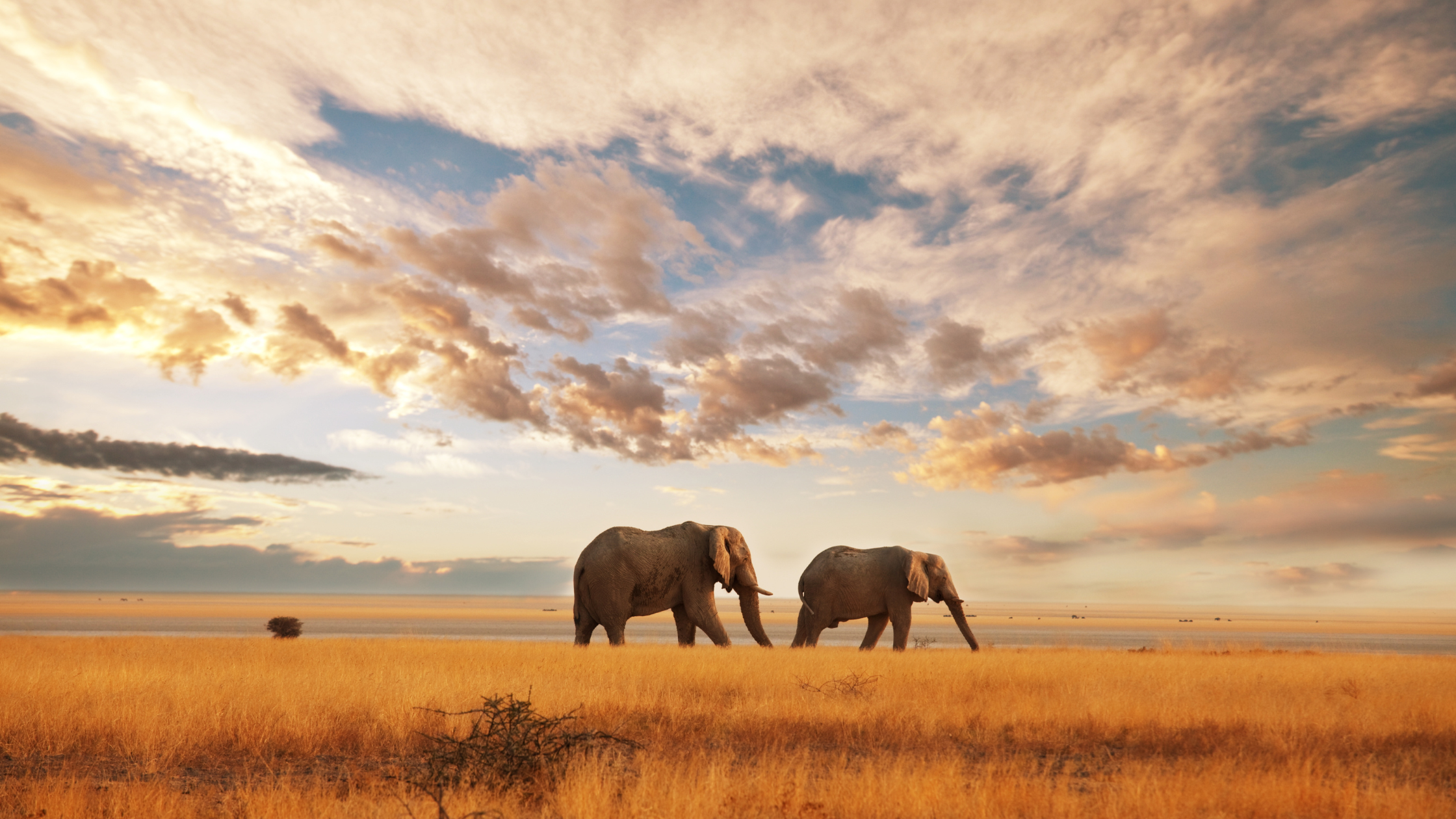 Serengeti safari package