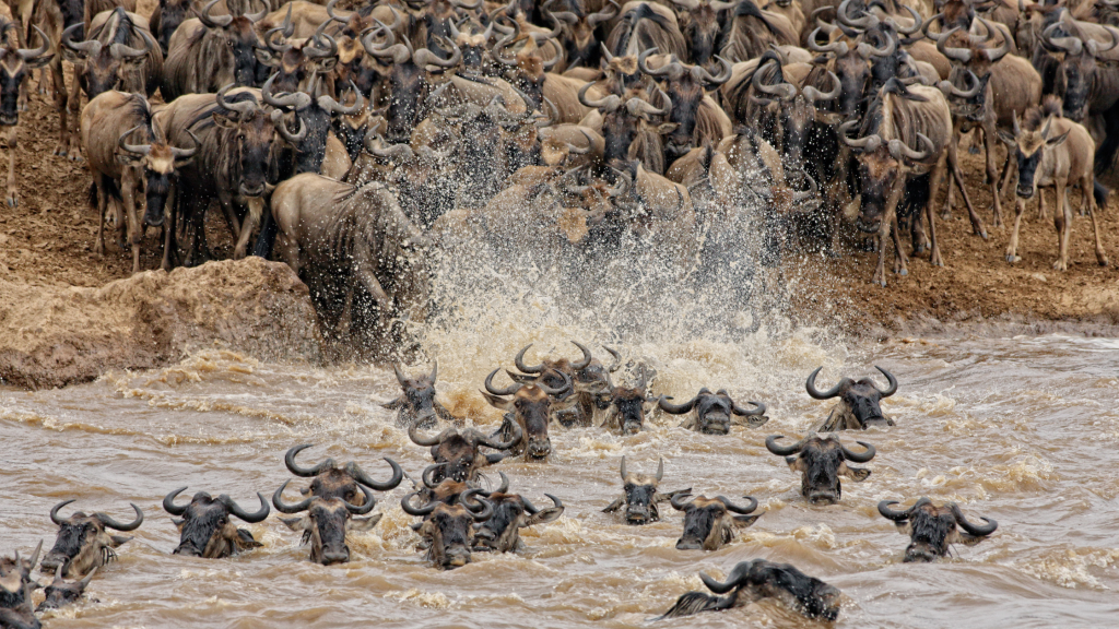 kenya Great Rift Valley