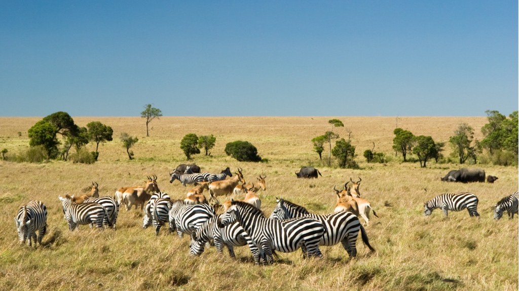 the great rift valley kenya