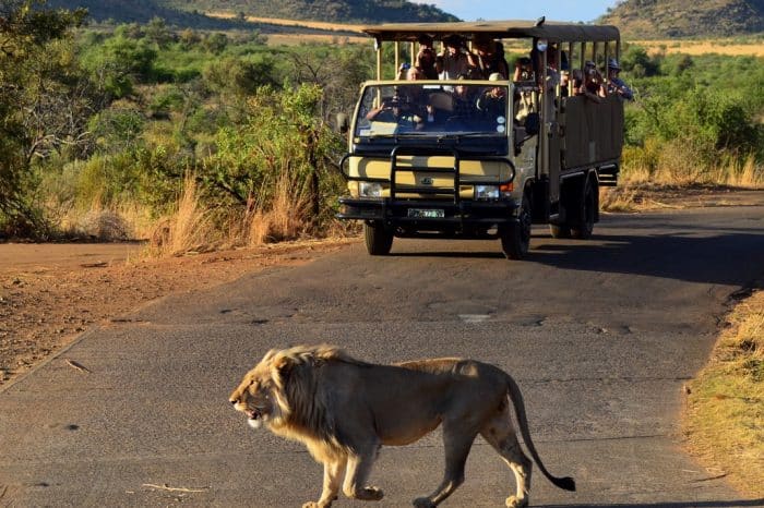 Sun City Resort Packages