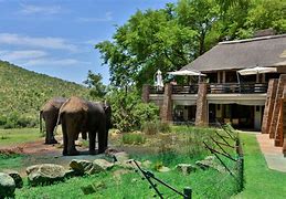 3 Day Kwa Maritane Bush Lodge Safari from Johannesburg