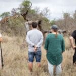 walking safari