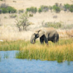 Lake Nakuru