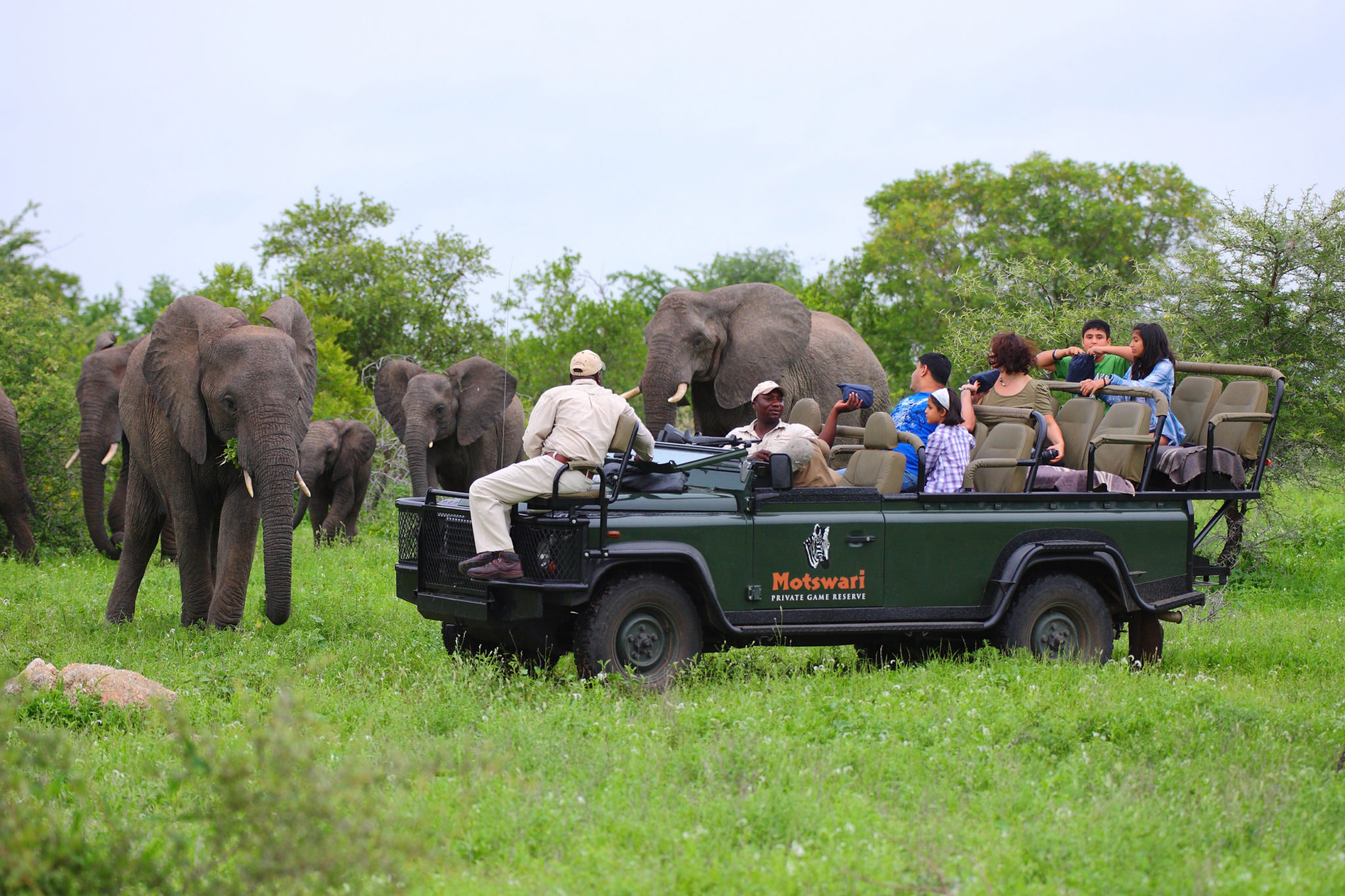 Geigers Camp Games Drives 1