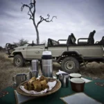 African wilderness