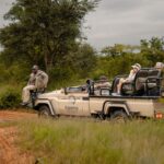 african luxury safari