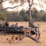 Big Five fly-in safari