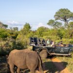 Safari Lodge