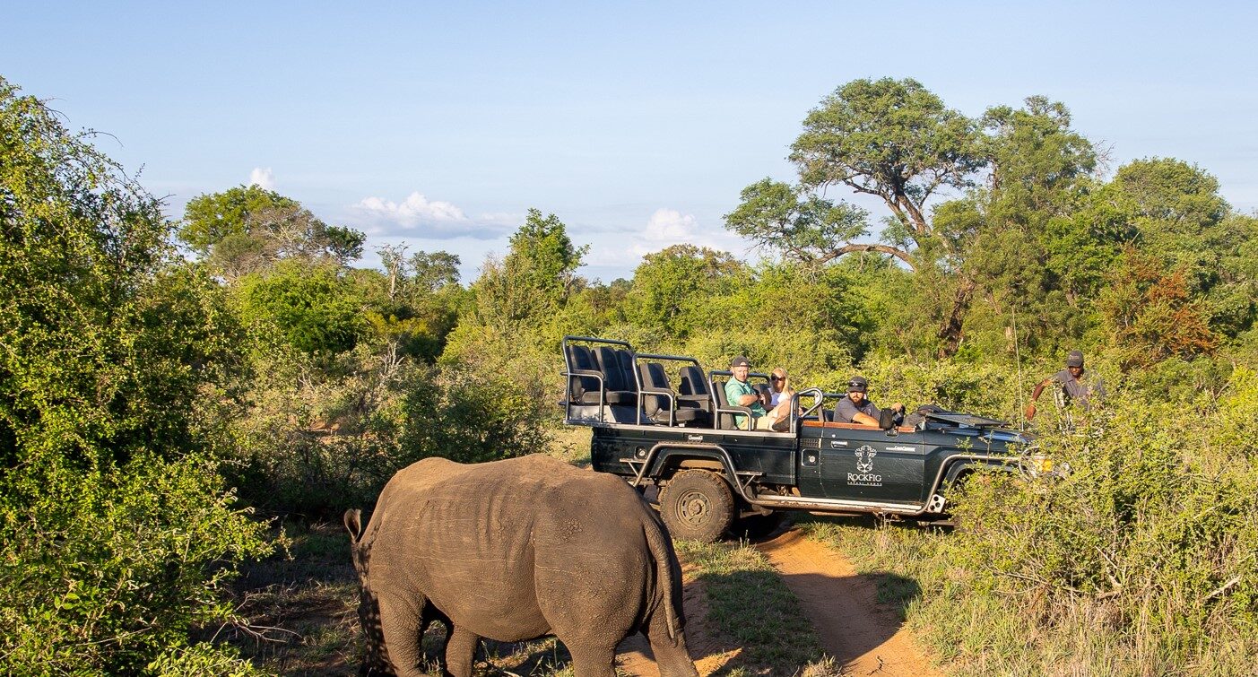 Safari Lodge