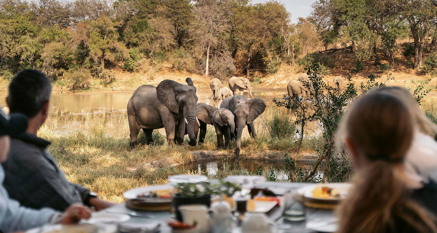 Simbavati River Lodge