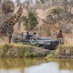 Sabi Sabi honeymoon safari