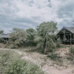 thornybush