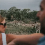 thornybush lodges