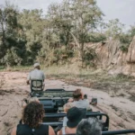 safari vehicle