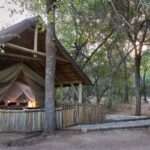 luxury safari