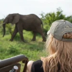 Big Five safari