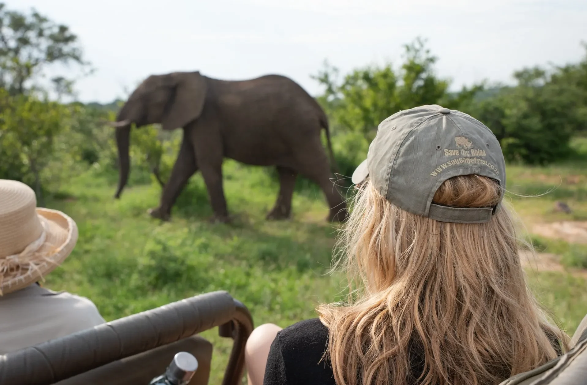Big Five safari