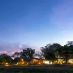 4-Day Sabi Sands fly-in safari