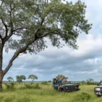 Short luxury safari South Africa