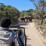 Sabi Sabi Earth Lodge Safari