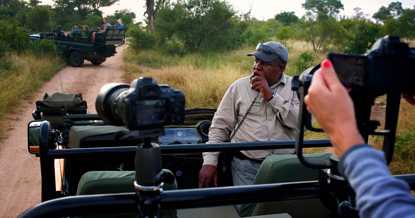 safari sabi sand south africa