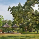 luxury african safari