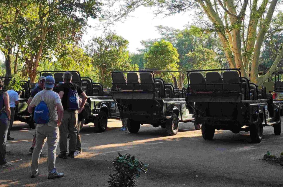 Kruger vs Serengeti vs Masai Mara Safari: Masai Mara Safari Tour, 3-Day Masai Mara Safari, 4-Day Masai Mara Safari & Kenya and Tanzania Safari — Which Is Right for You?