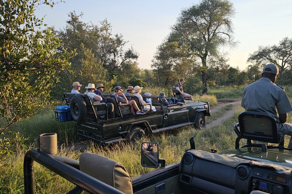 Private Reserve vs National Park Safari: A Comparison