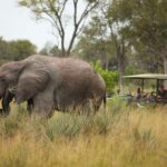 Okavango Delta