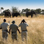 Okavango Delta