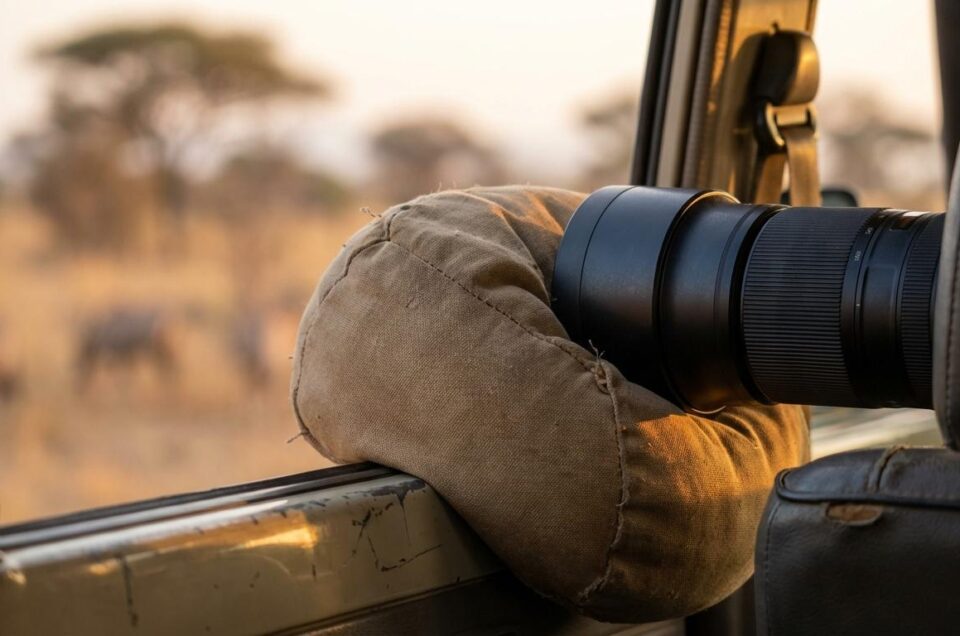 Photographic Safari Tips: Camera Settings, Lenses, and Best Parks Near Kruger (Hazyview Accommodation Guide)