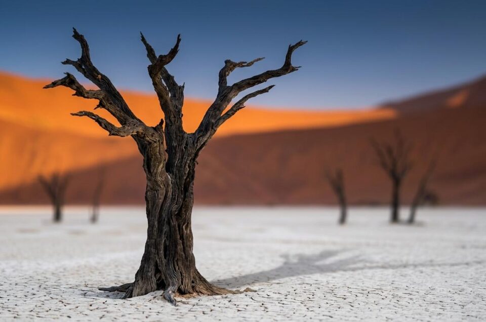 Namibia Desert Safari: Sossusvlei, Deadvlei, and Dunes Itinerary