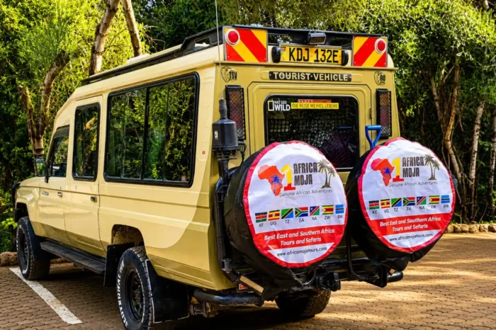 7-Day Masai Mara & Watamu Beach Safari