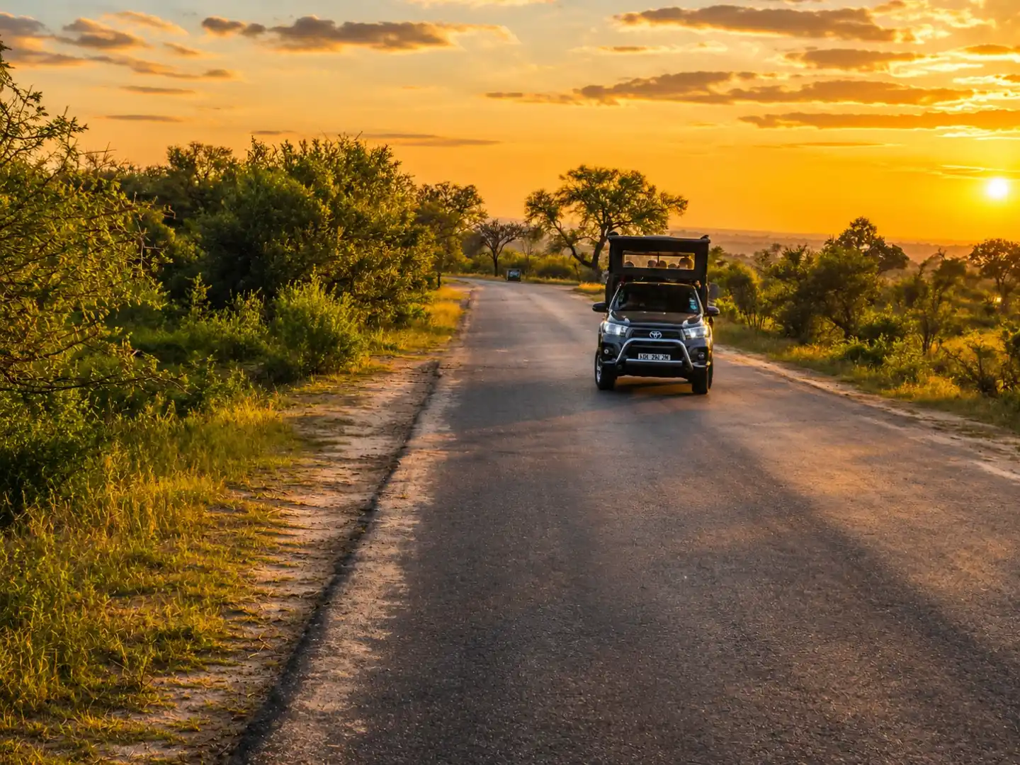 Kruger Night Safari from Hazyview Lodges